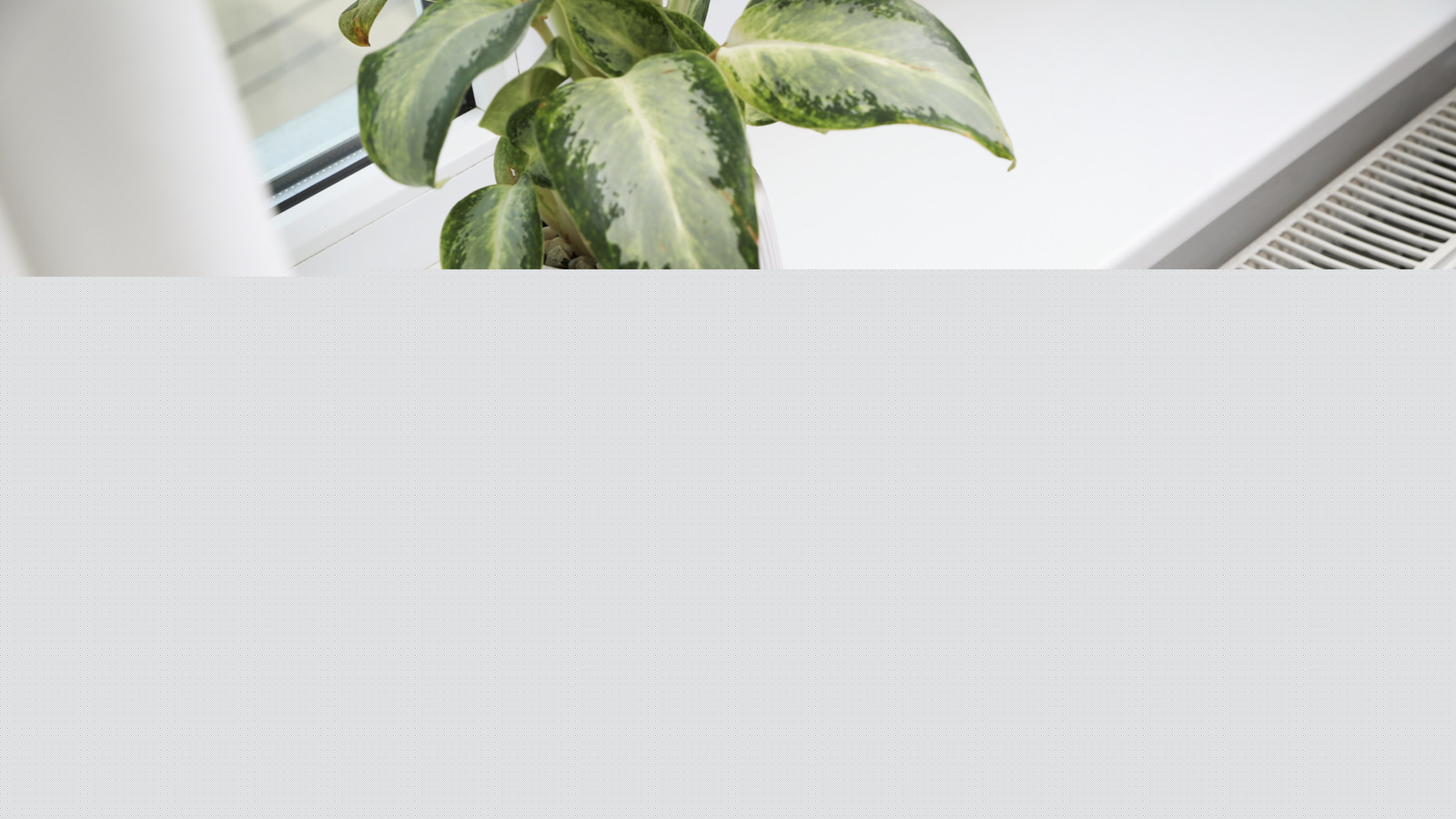 Can Houseplants Really Thrive Next To Heaters?