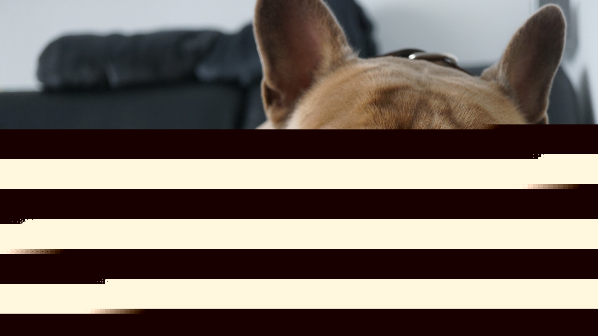 Episode 215 - Real security is boring