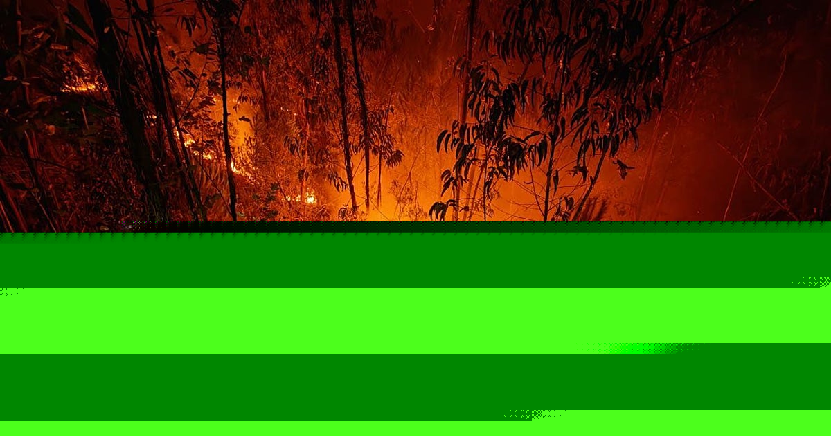 Andalucía refuerza la investigación de los incendios ante la falta de una reforma penal del Gobierno