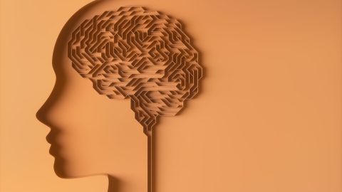 Comment on Menopause, Hormones & ADHD: What We Know, What Research is Needed by Stephenmutkoski