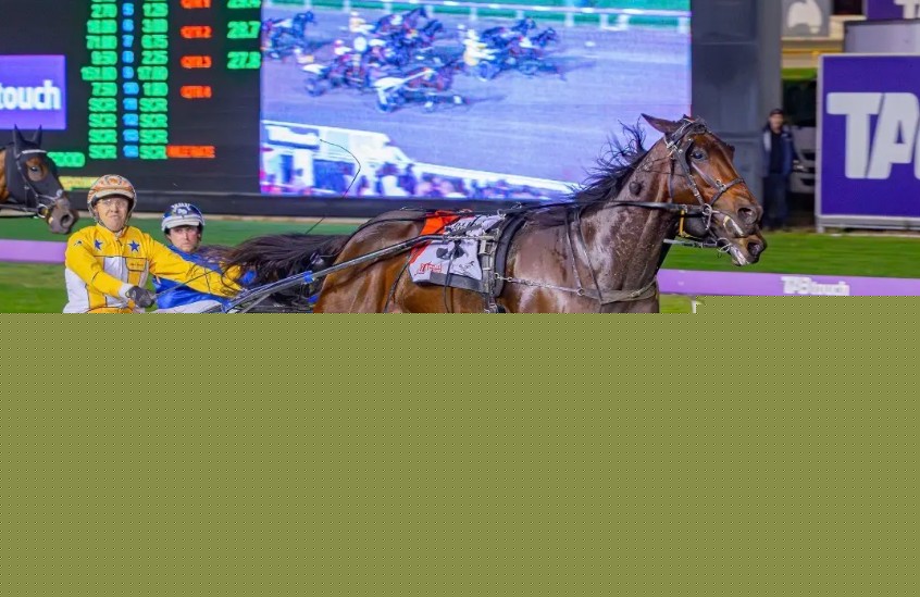 Still plenty of racing left in Max Delight