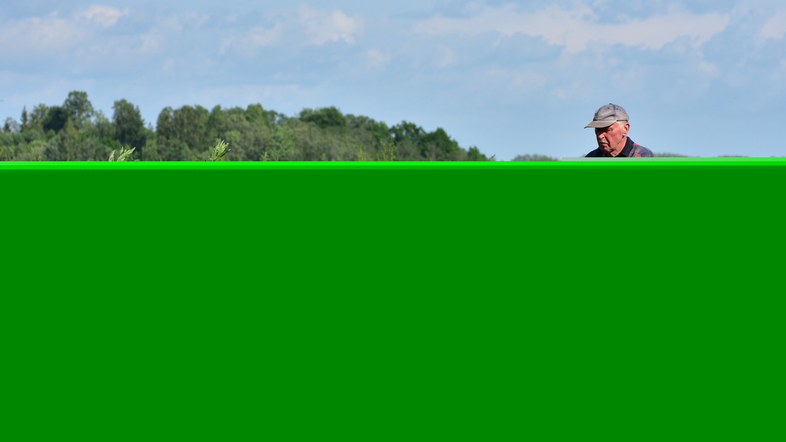 The Lawn Mower Task To Do In August To Keep It Running Smoothly