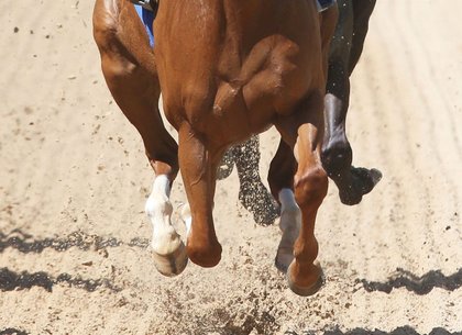 National Weekly Rulings: Jan. 22-28; Trainer Gonzalez Banned Additional 36 Months