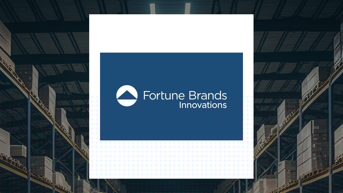 Fortune Brands Innovations Q2 Earnings Call Highlights