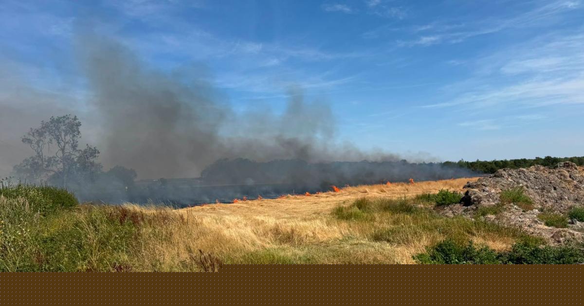 Mounted police section faced 'very-real possibility' of evacuation after field fire