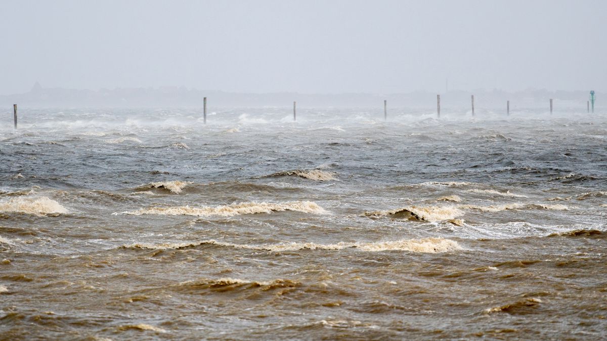 Niederlande: Tanker treibt vorübergehend manövrierunfähig auf der Nordsee