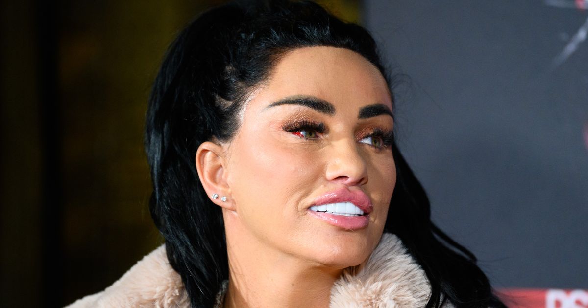 Katie Price-approved sex toy is 'the best' and 'feels unlike anything else'