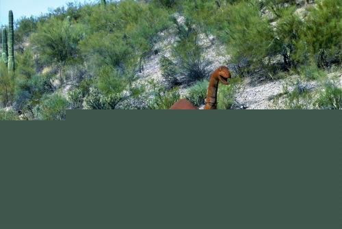 New dinosaur species from 210 million years ago found in Zimbabwe