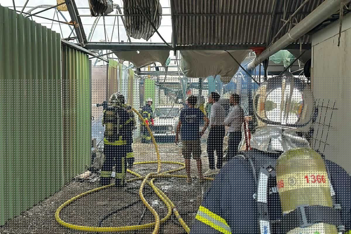 « Nous ne pouvons cautionner cette agression » : Nice-Matin dénonce l’agression d’une journaliste par un élu municipal de Cagnes-sur-Mer