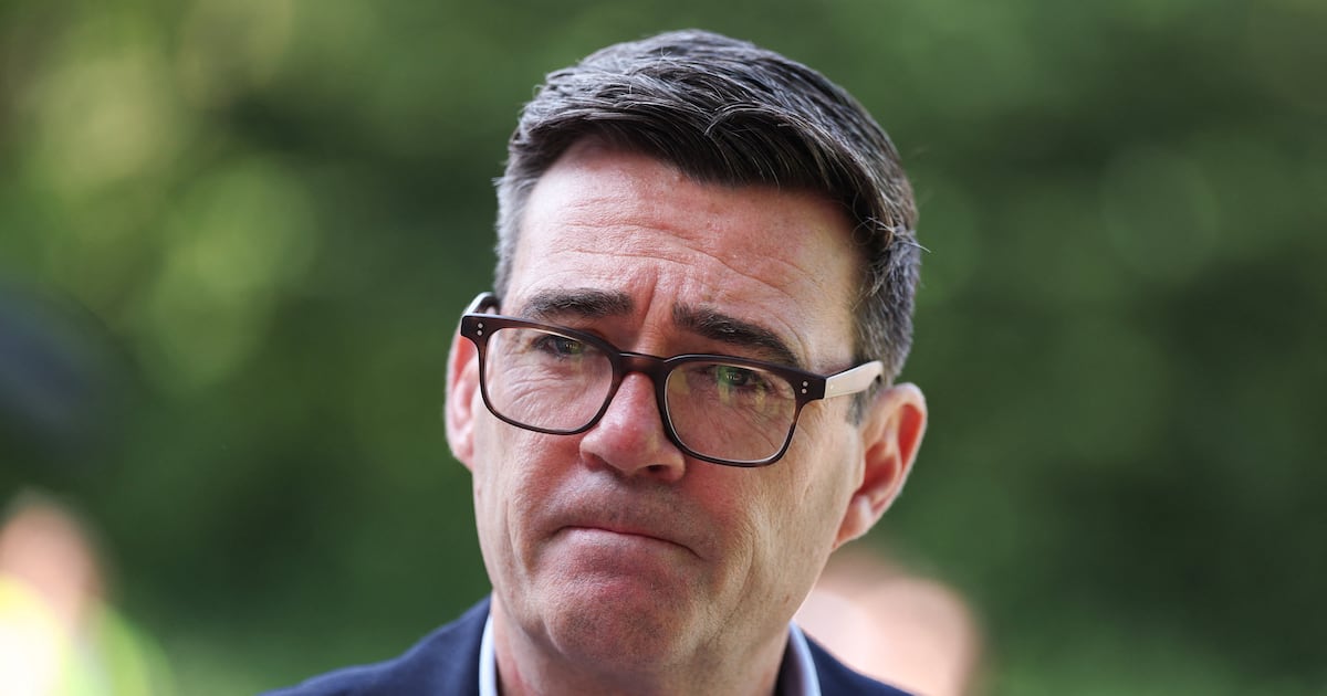 Andy Burnham pauses plan for early release of prisoners