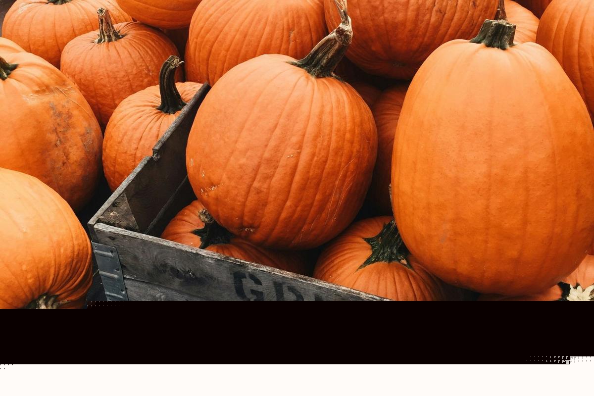Michigan Ranks Among Top 5 U.S. Pumpkin Producers