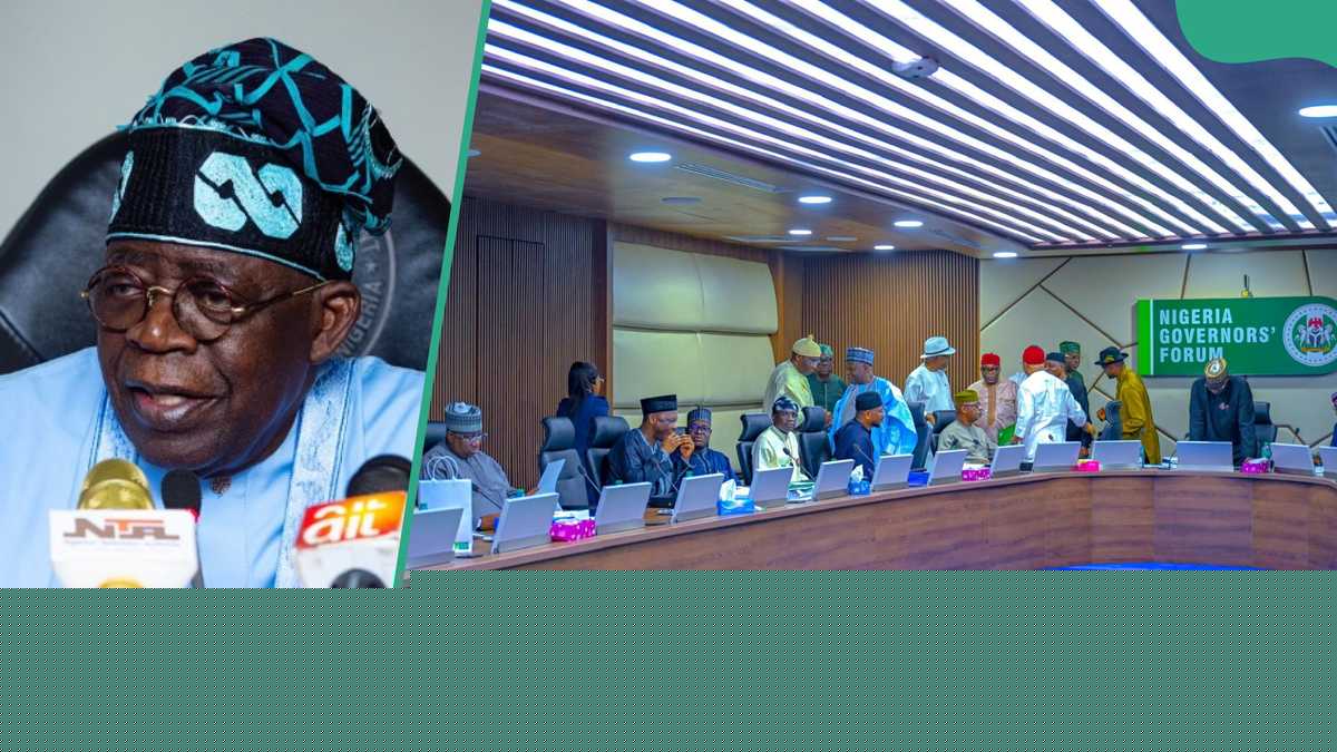 Breaking: Tinubu warns governors against building flyovers