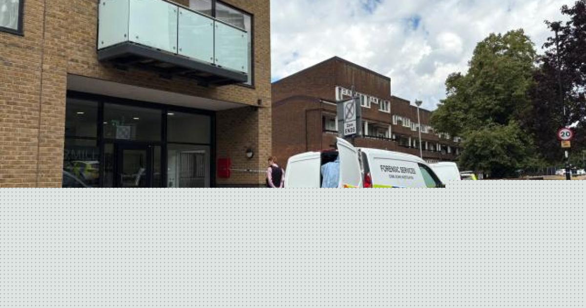 Man bailed as police continue probe into death of 28-year-old woman in Lewisham