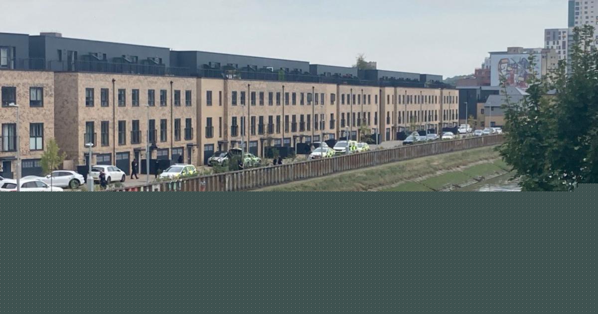 Two bailed after man climbs on roof of building near train station
