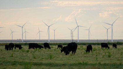 Despite Trump, renewable energy keeps surging