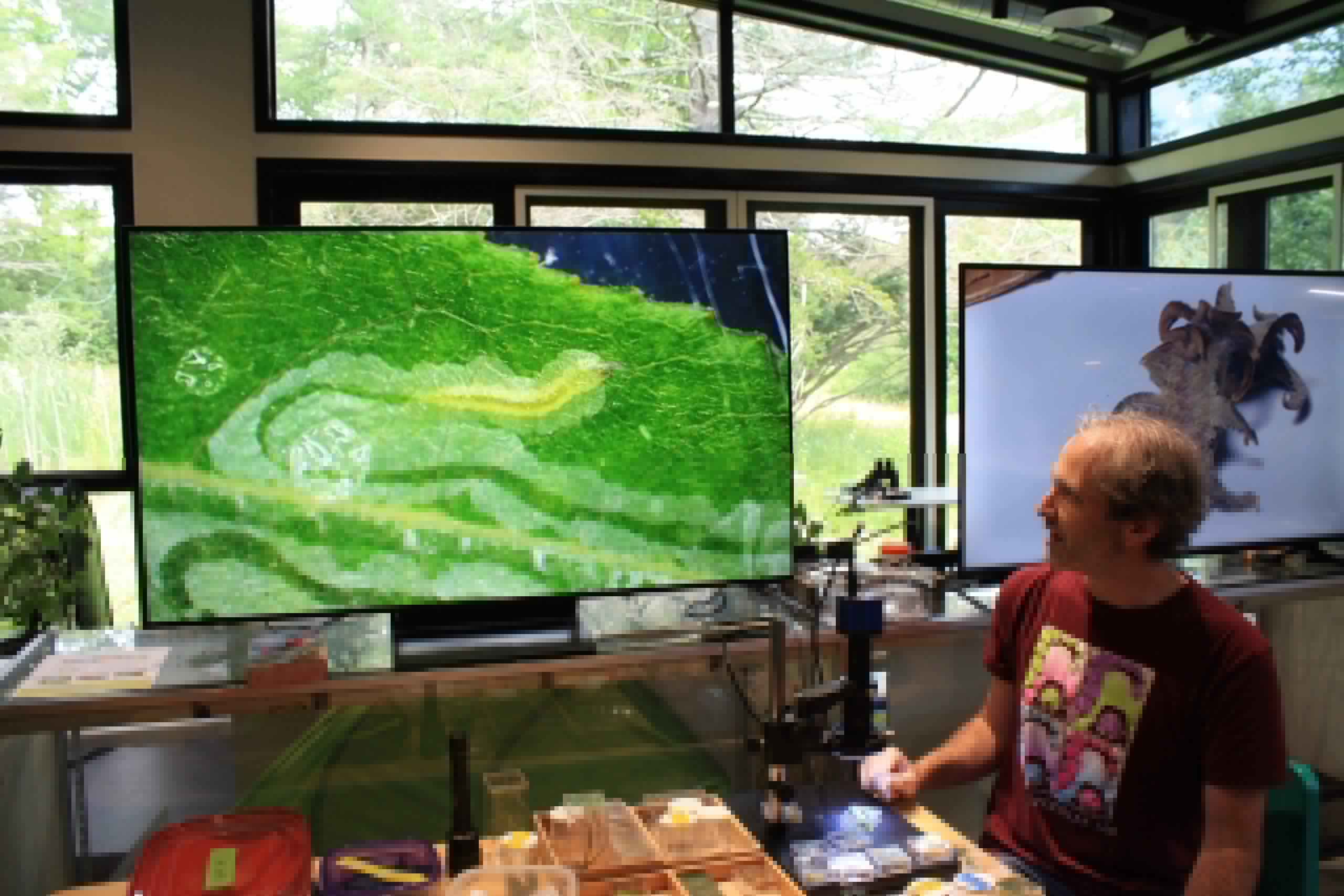 The Caterpillar Lab expands to larger Dublin location on Route 101
