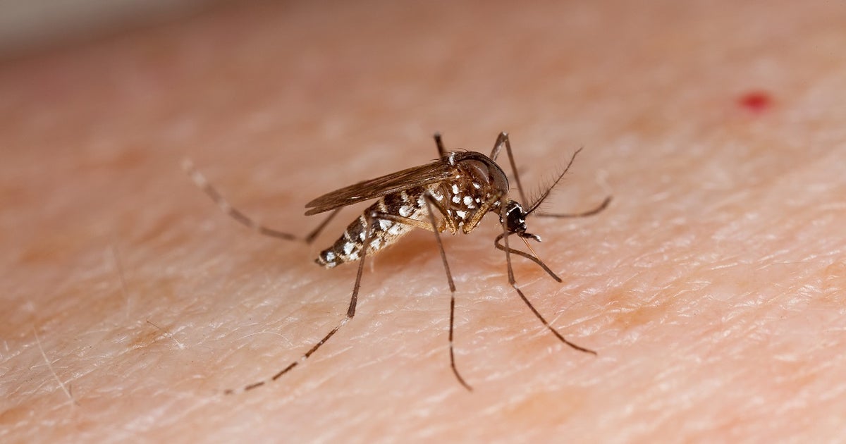 West Nile: Buda mosquito trap tests positive
