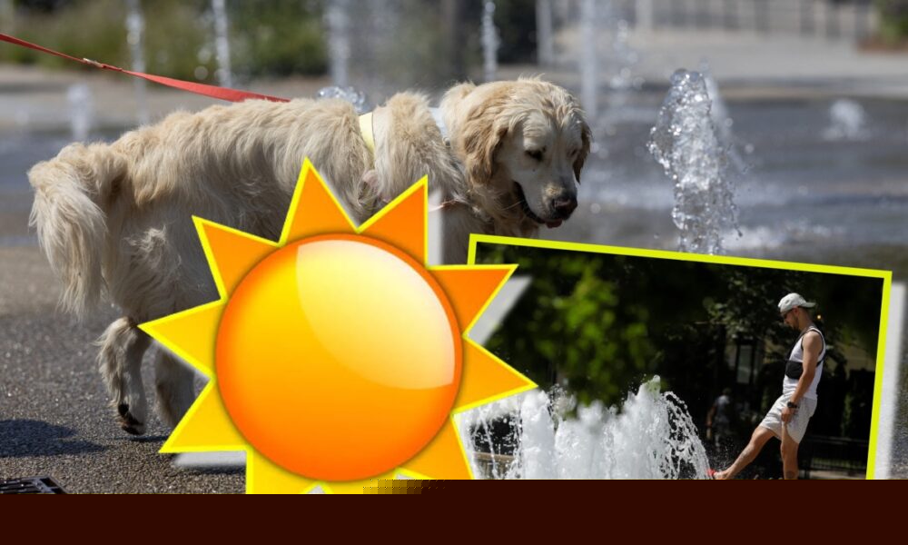 Alertele meteo cod roșu și portocaliu de caniculă au fost extinse. ANM anunță trei zile de caniculă, cu temperaturi de până la 41 grade, nopţi tropicale şi instabilitate atmosferică
