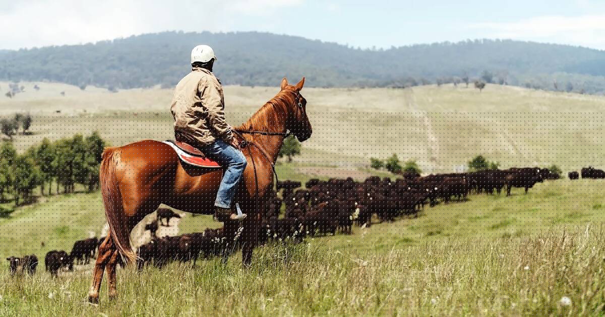 UPDATED: Victoria's largest cattle property sale sparks ownership debate