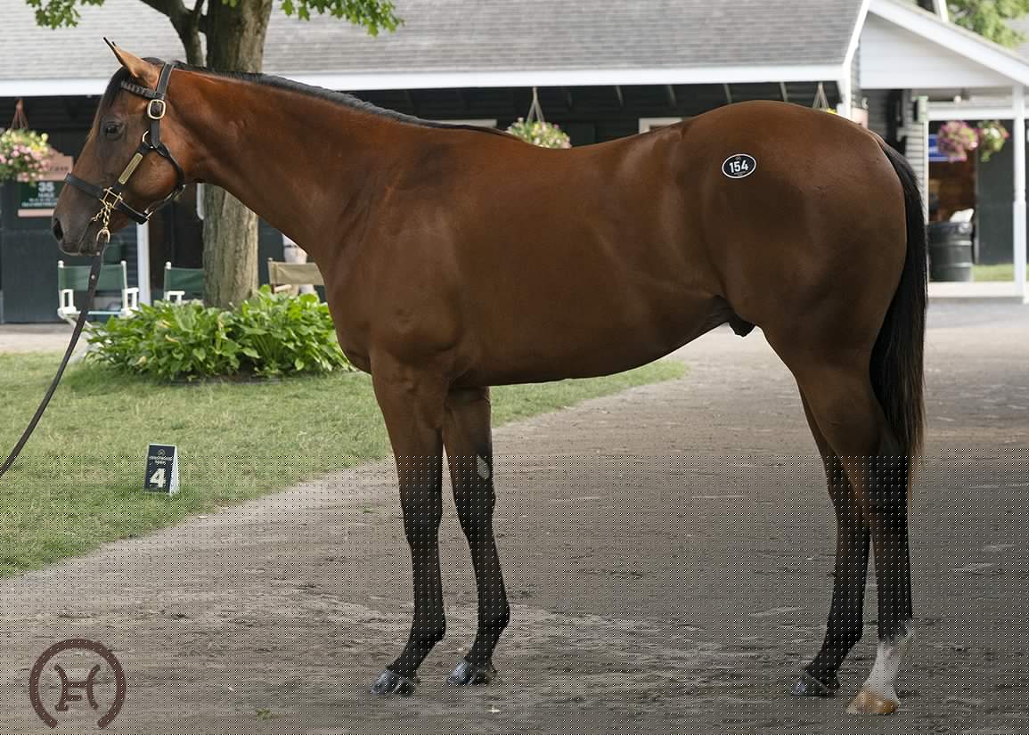 ‘A Full-Circle Moment’ As Heartwood Farm Consigns $3-Million Into Mischief Colt