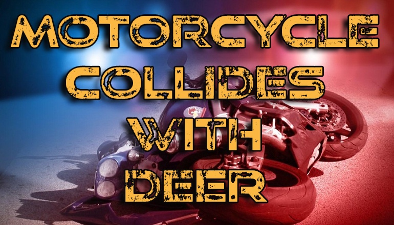 New London rider injured after deer collision south of Rensselaer