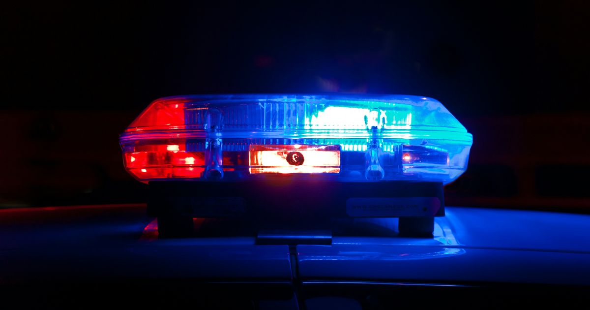 Nash County Sheriff warns residents after dog attack, dangerous dog on the loose