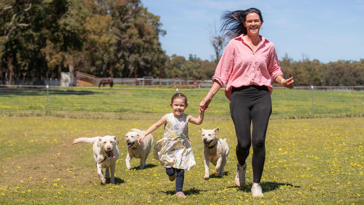 Perth pet owners are increasingly hiring private dog parks to spend uninterrupted time with their fur-babies