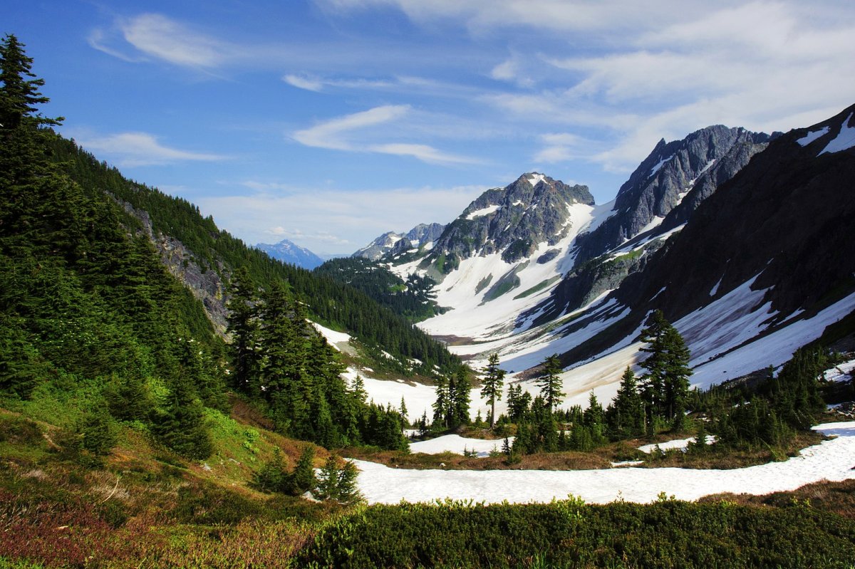 On This Day, Oct. 2: LBJ establishes Cascades, Redwood parks
