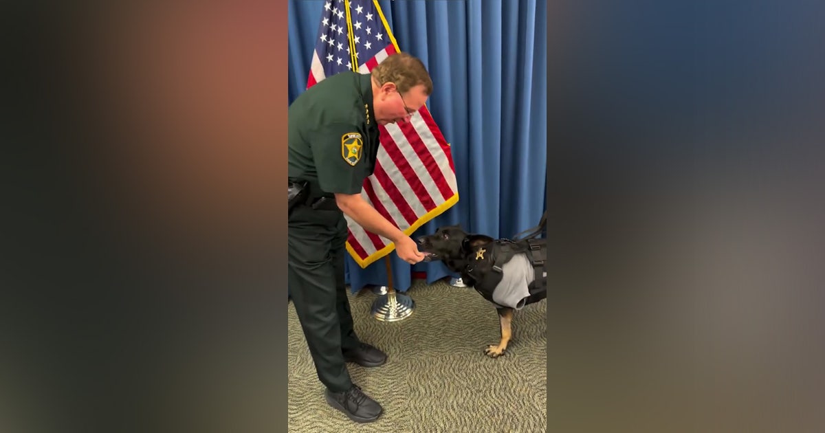 Video: K9 Ace greets Polk County Sheriff Grady Judd after being shot and having leg amputated