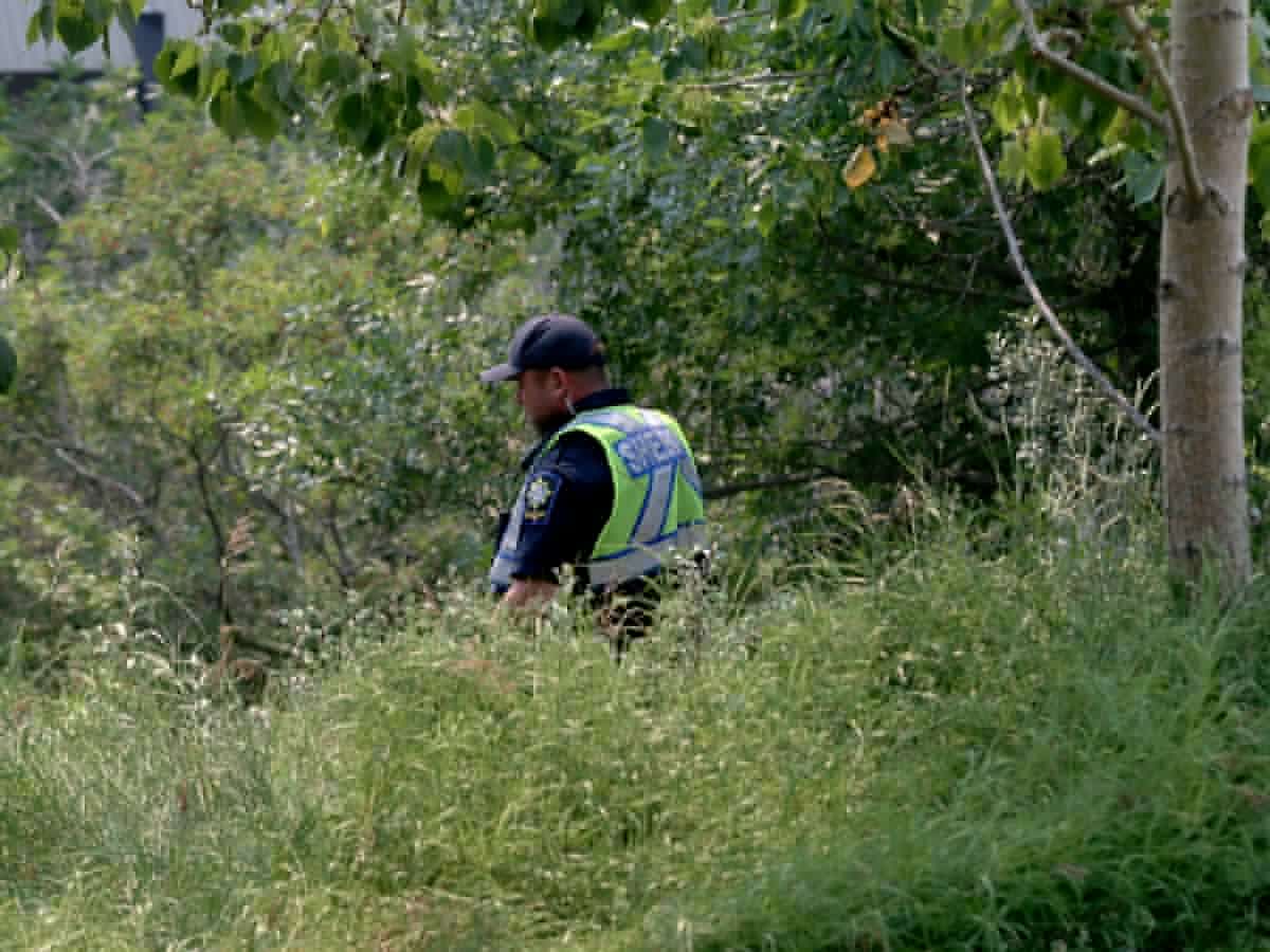 Police close one entrance to Nose Hill Park in continued search for missing boy
