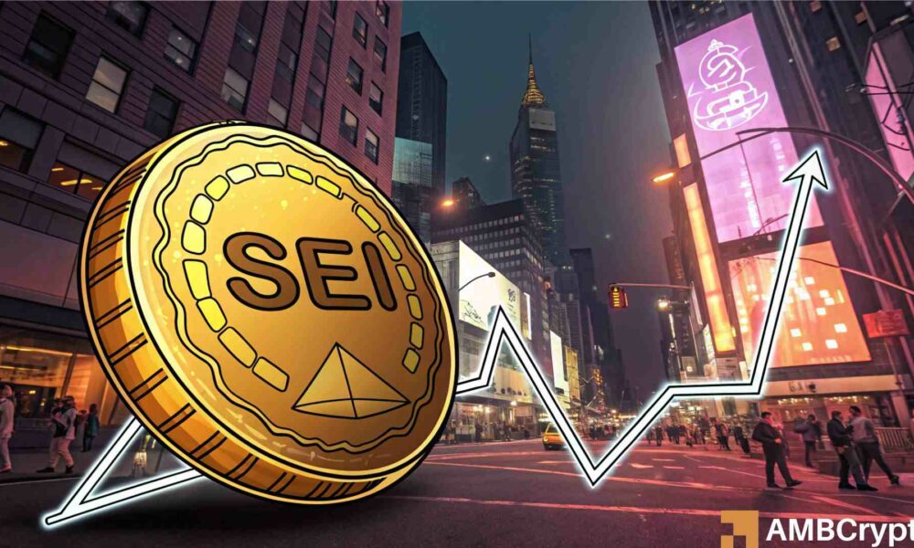 Can SEI rally 120%? – THIS bullish setup might hold the key