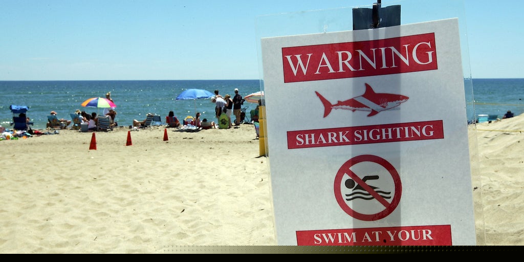 Beachgoers on alert as unprecedented shark sightings plague these popular beaches this summer