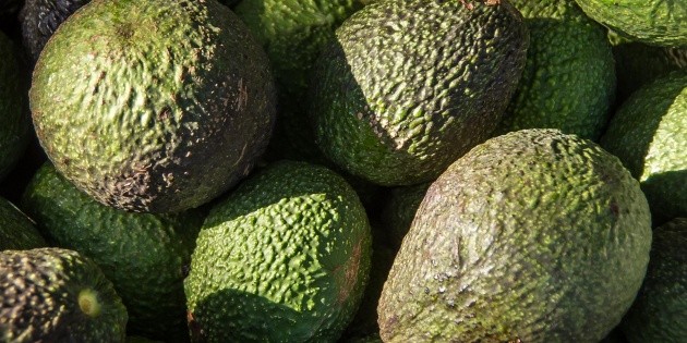 El 75 % de los empaques de aguacate en Michoacán ya están habilitados: SADER