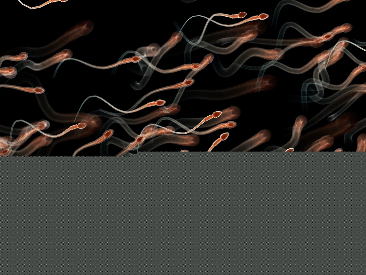Sperm with DNA damage might be the true cause of repeated miscarriages