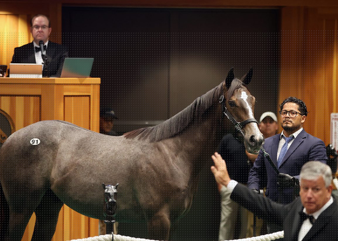 Flying Dutchmen Springs for $2.3M Into Mischief Colt
