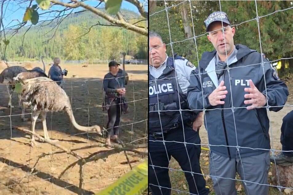 Millions spent at B.C. ostrich farm