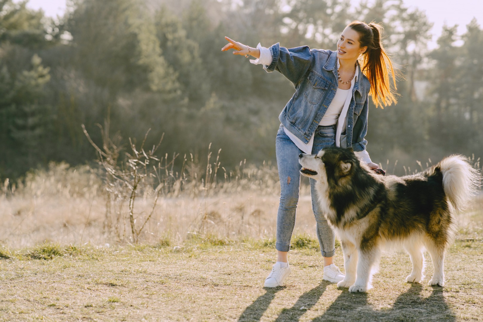 Importanța jocului zilnic pentru sănătatea câinilor și a pisicilor: Cum să creezi un program echilibrat între joacă, relaxare și plimbări / Tips & tricks de la medicul veterinar Beatrice Ilea pentru a evita plictiseala și comportamentele distructive (VIDEO)