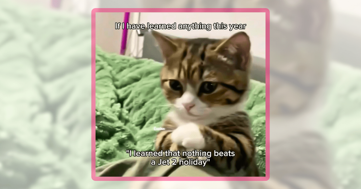 30+ Memes That Prove Cats Rule the Internet as Much as They Rule Our Homes