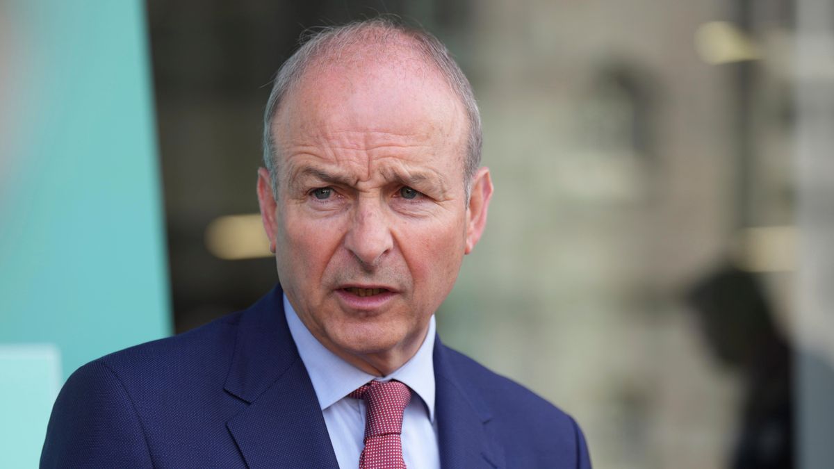 Irland: Regierung verzichtet bei neuem Jet auf Navigationssystem aus Israel