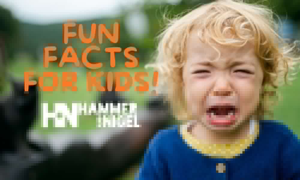 Hammer’s Fun Facts for Kids!