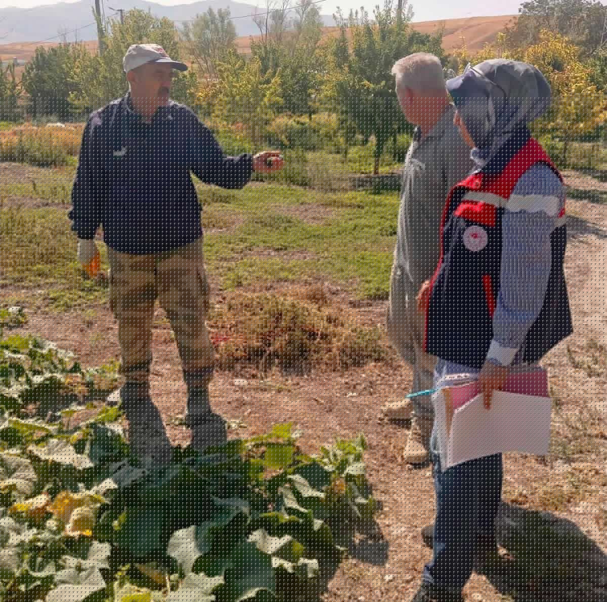 Afyonkarahisar'da Hasat Öncesi Pestisit Denetimleri Sürüyor