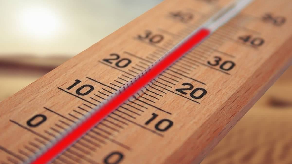 Météo : la vague de chaleur se poursuit sur l'Hexagone, 23 départements placés en vigilance orange canicule pour le jeudi 30 juillet, 7 de plus que la veille