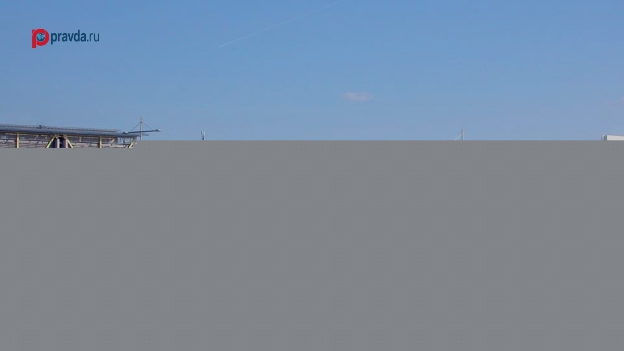 Leipzig airport incident: Explosive drone found on Ukrainian An-24 wing