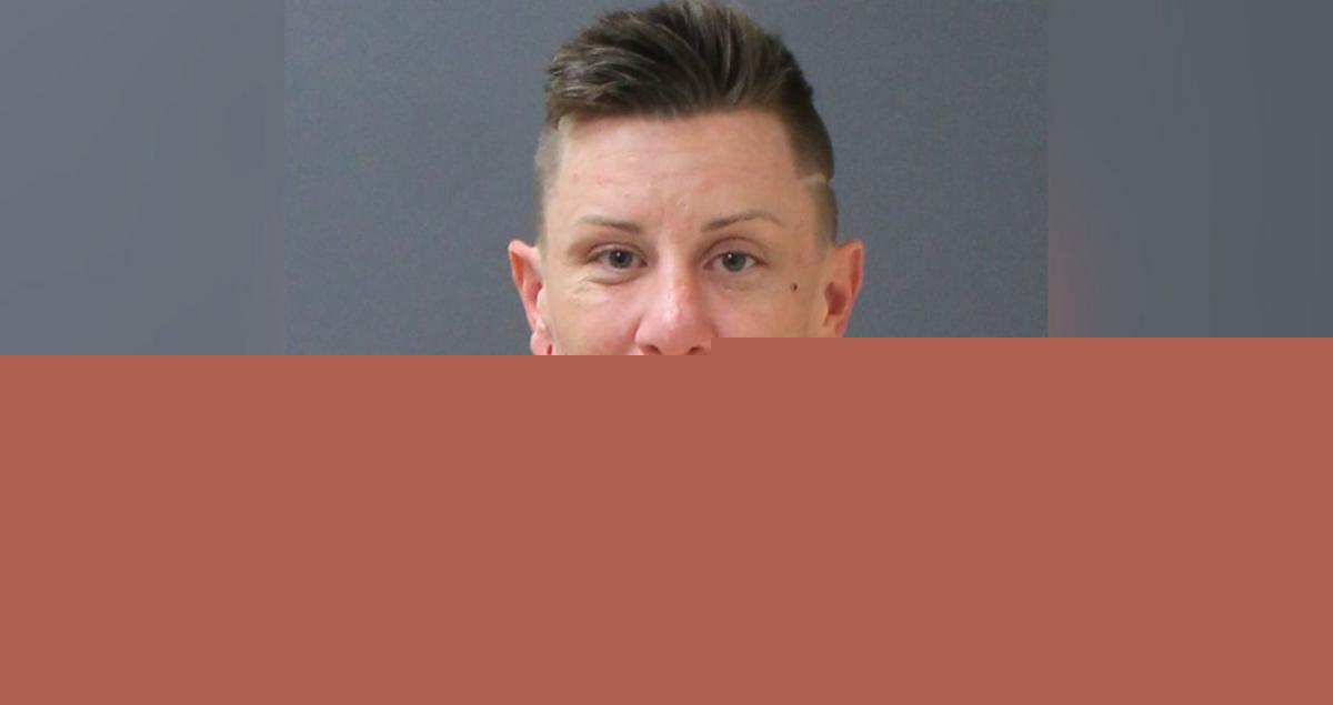 Dog Watcher Gets Prison Sentence for Rochester Home Theft
