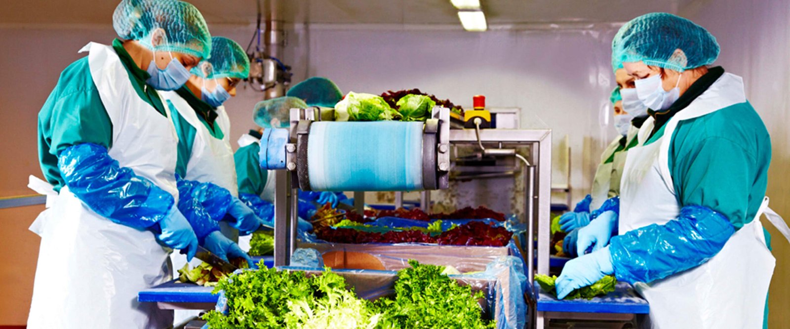 Eisberg, un reper privind securitatea alimentară a salatelor gata de consum