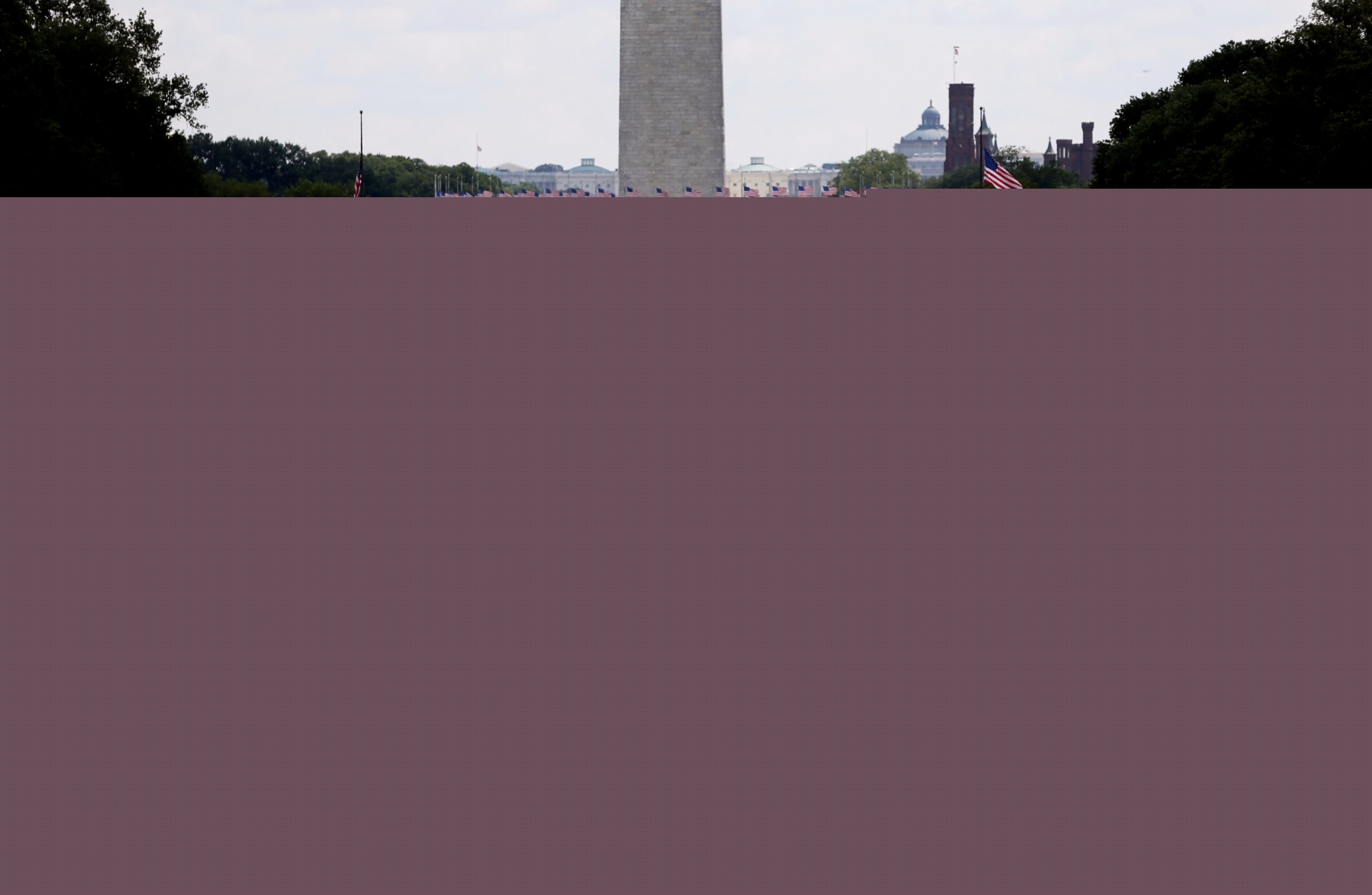 Democrats begin probe into prosecution linked to Reflecting Pool