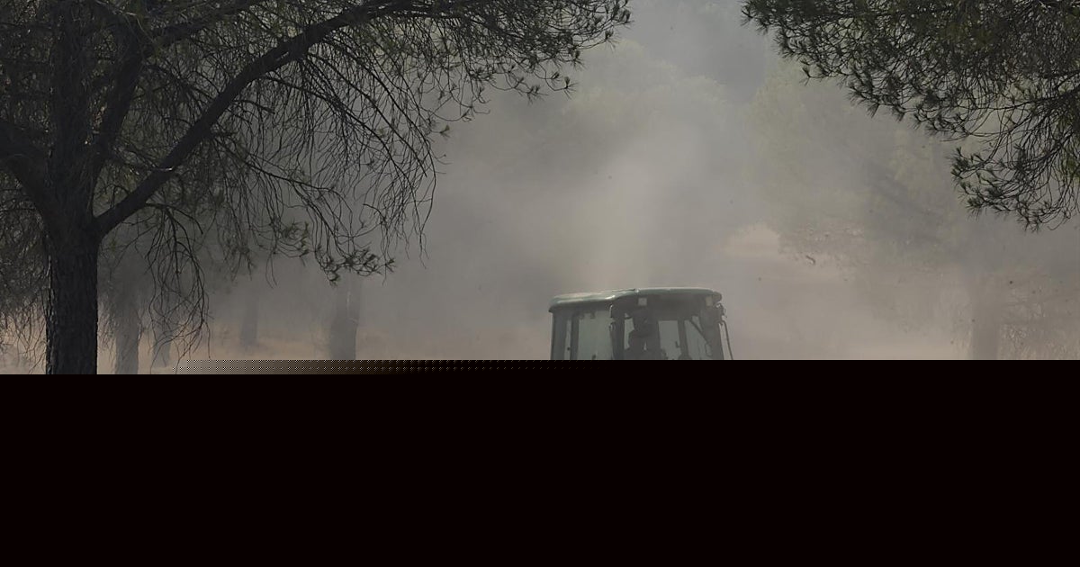 Los desalojados por el incendio de Niebla reviven la pesadilla: «Son árboles, animales y sueños convertidos en humo»