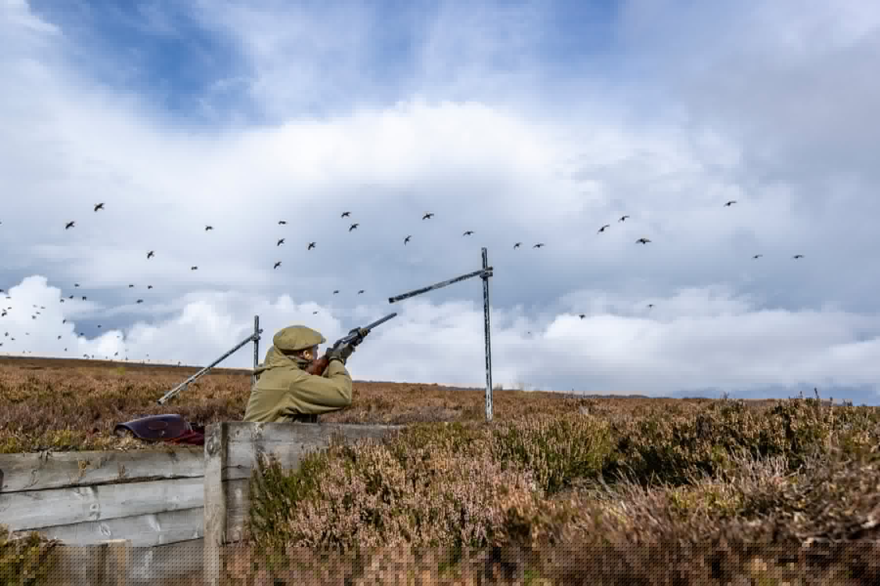 Grouse season 2026: signs point to a far better Twelfth
