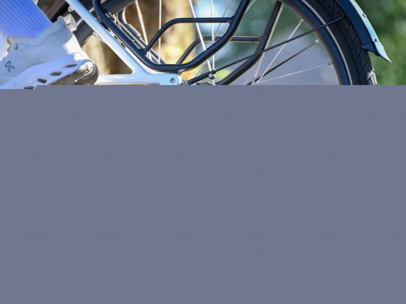 E-bike security: Ananda R525 motor locks the wheel during theft attempts