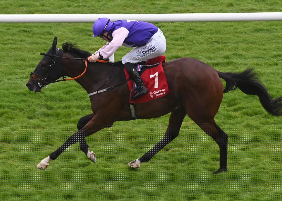 Timeform’s Top Juveniles: Bayside Boy’s Trean Could Go Right To The Top